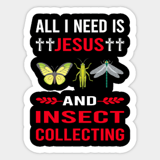 I Need Jesus And Insect Collecting Collector Collect Insects Bug Bugs Entomology Entomologist Sticker